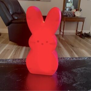 NWOT Hot Pink Peeps Light